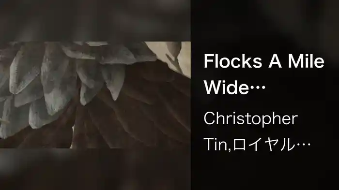 Flocks A Mile Wide (Visualizer)