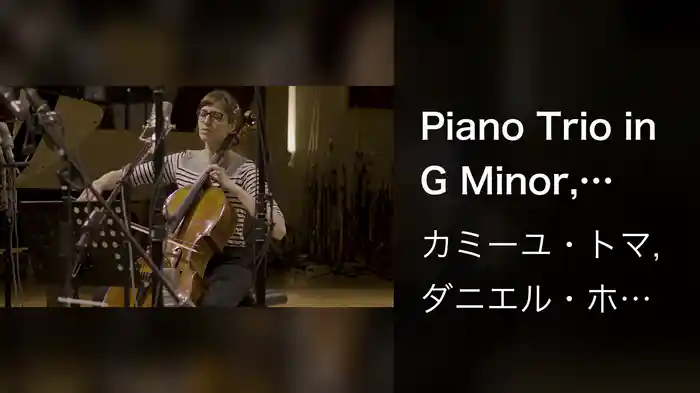 Piano Trio in G Minor, Op.8: IV. Finale. Allegretto