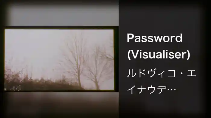 Password (Visualiser)