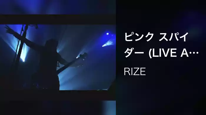 ピンク スパイダー (LIVE AT STUDIO COAST / 2008)