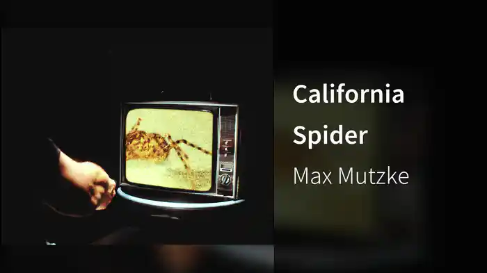 California Spider