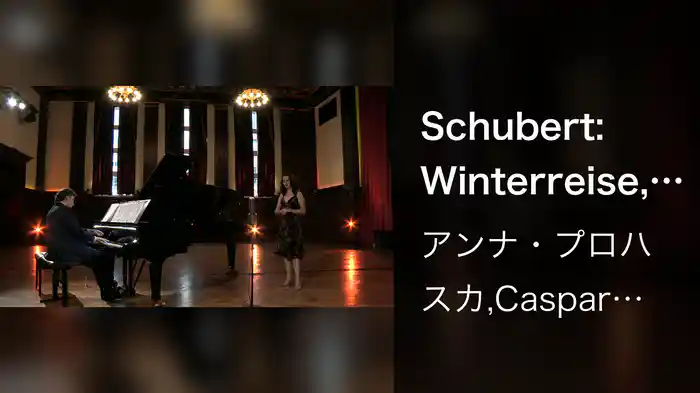 Schubert: Winterreise, D. 911: 21. Das Wirtshaus (Live / Musical Moments)