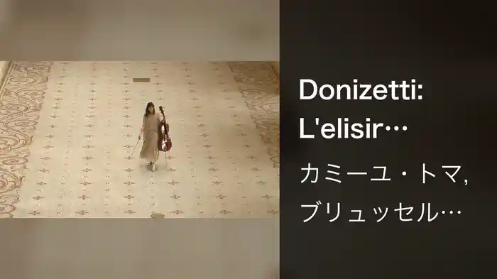 Donizetti: L'elisir d'amore: "Una furtiva lagrima" (Adapt. For Cello And Orchestra) (At Musée des Arts Décoratifs)
