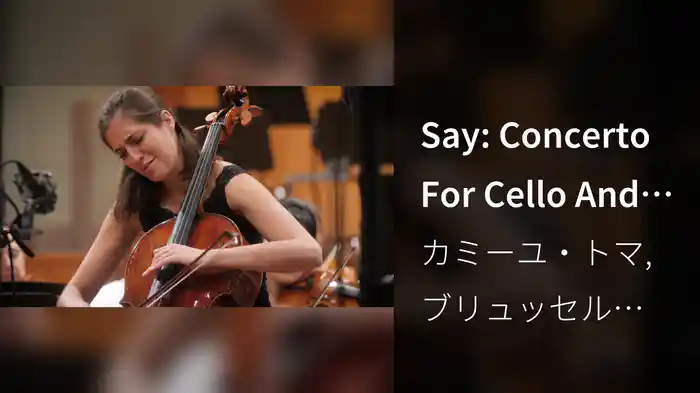Say: Concerto For Cello And Orchestra: 2. Terror - Elegy