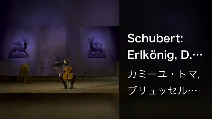 Schubert: Erlkönig, D. 328 (Adapt. for Cello and Orchestra) (At At Musée du cheval, Domaine de Chantilly)