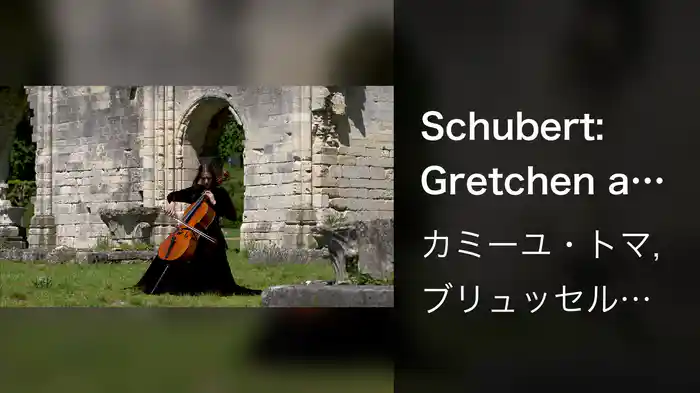 Schubert: Gretchen am Spinnrade, D. 118 (Adapt. for Cello and Orchestra)