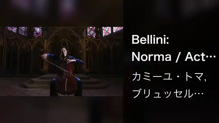 Bellini: Norma / Act 1: "Casta Diva" (Arr. For Cello And Orchestra By Mathieu Herzog) (At Sainte-Chapelle)