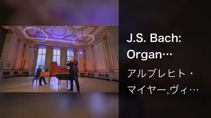 J.S. Bach: Organ Sonata No. 3 in D Minor, BWV 527: I. Andante (Adapt. for Oboe and Harpsichord by Mayer and Frey) (Musical Moments / Live)