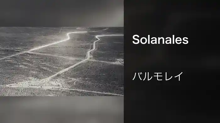 Solanales
