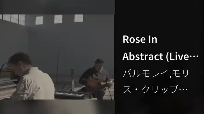 Rose In Abstract (Live in Marfa)