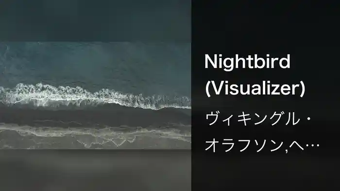 Nightbird (Visualizer)