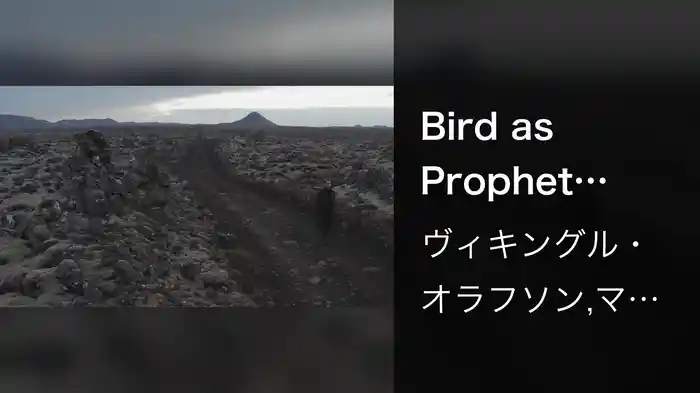 Bird as Prophet (Visualizer)