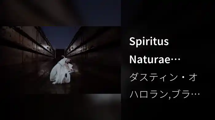 Spiritus Naturae Aeternus