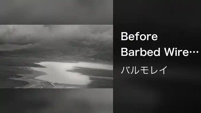 Before Barbed Wire (Visualizer)