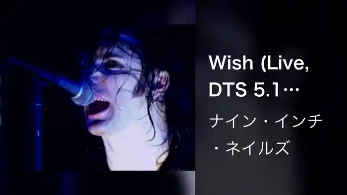 Wish (Live, DTS 5.1 Surround Version)