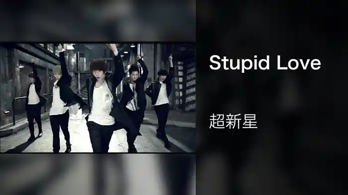 Stupid Love