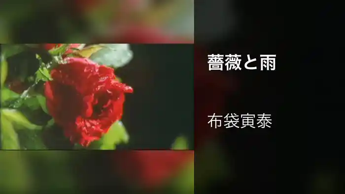 薔薇と雨