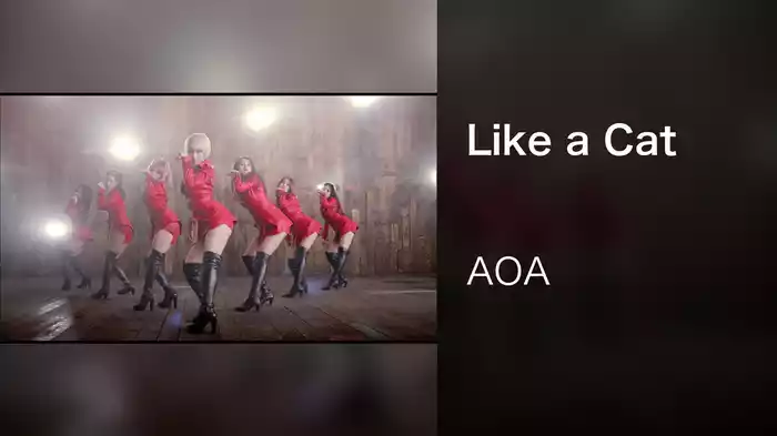 Like a Cat