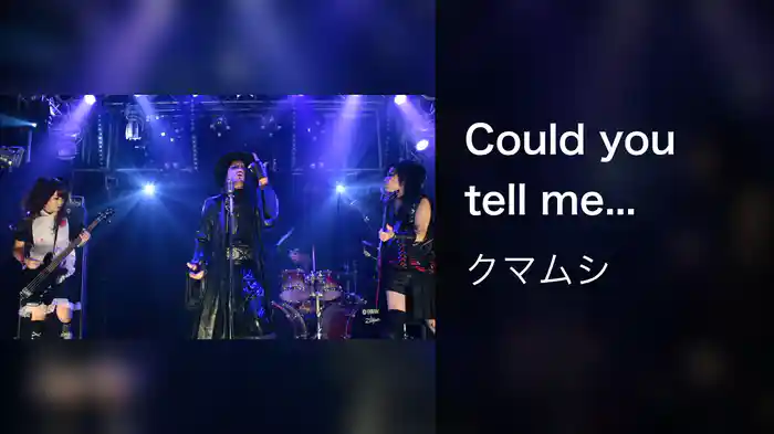 Could you tell me...