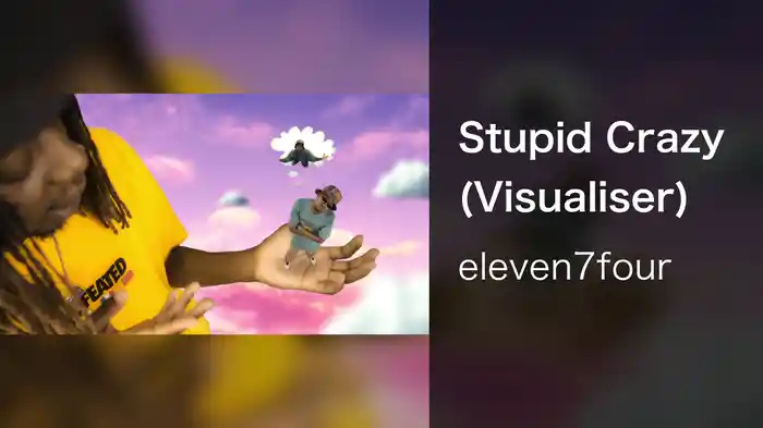 Stupid Crazy (Visualiser)