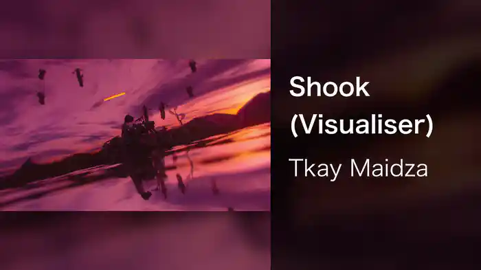 Shook (Visualiser)