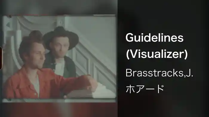Guidelines (Visualizer)