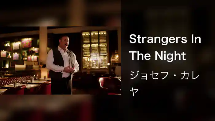 Strangers In The Night