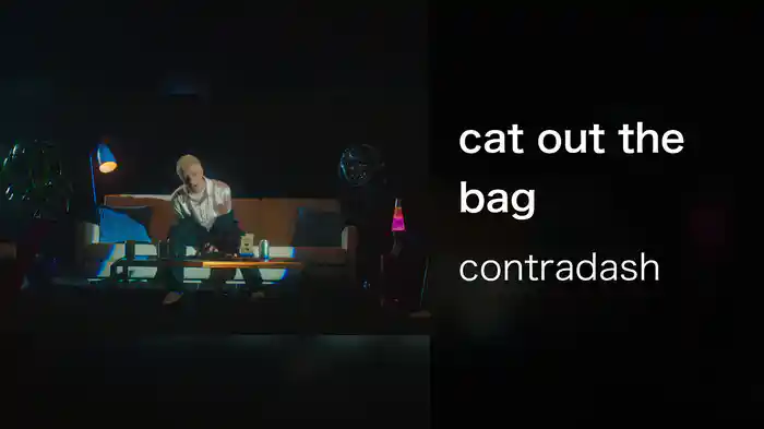 cat out the bag