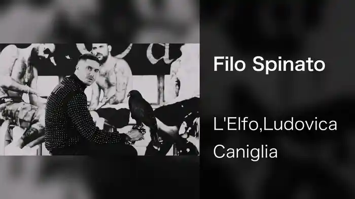 Filo Spinato