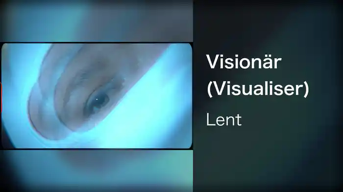 Visionär (Visualiser)
