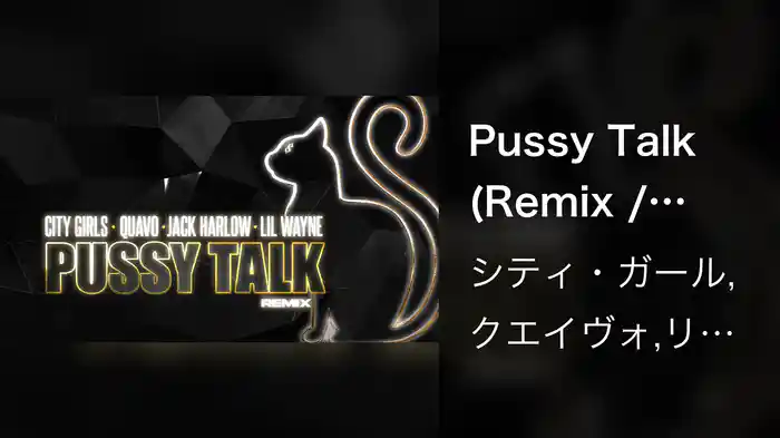 Pussy Talk (Remix / Visualizer)