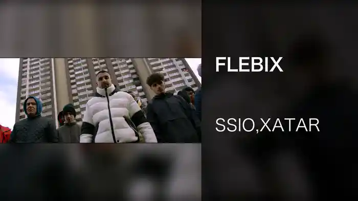 FLEBIX