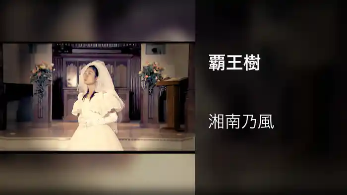 覇王樹