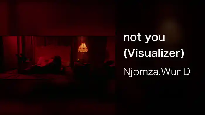 not you (Visualizer)