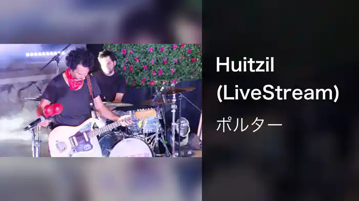 Huitzil (LiveStream)