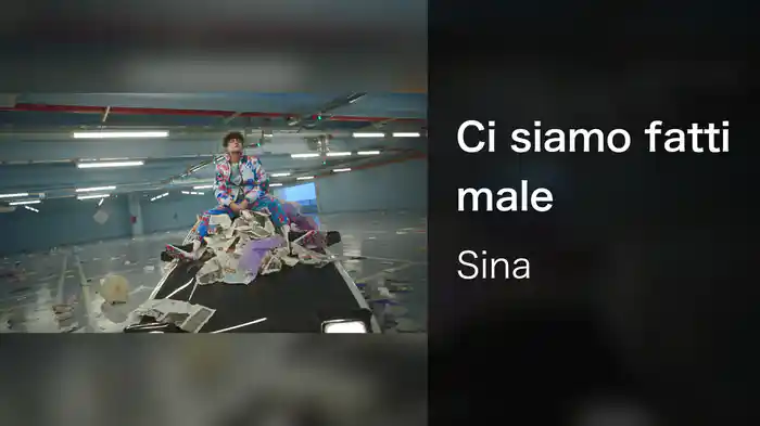 Ci siamo fatti male