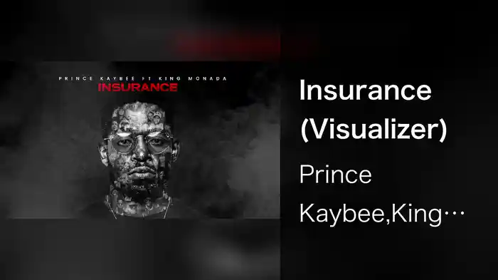 Insurance (Visualizer)