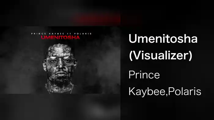 Umenitosha (Visualizer)