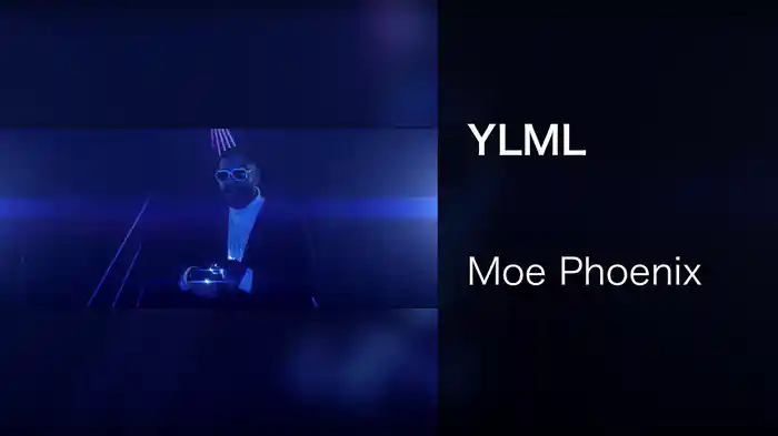 YLML