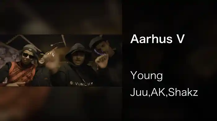 Aarhus V