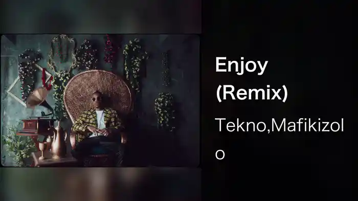 Enjoy (Remix)