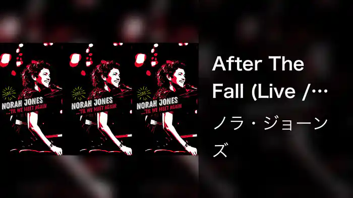 After The Fall (Live / Visualizer)