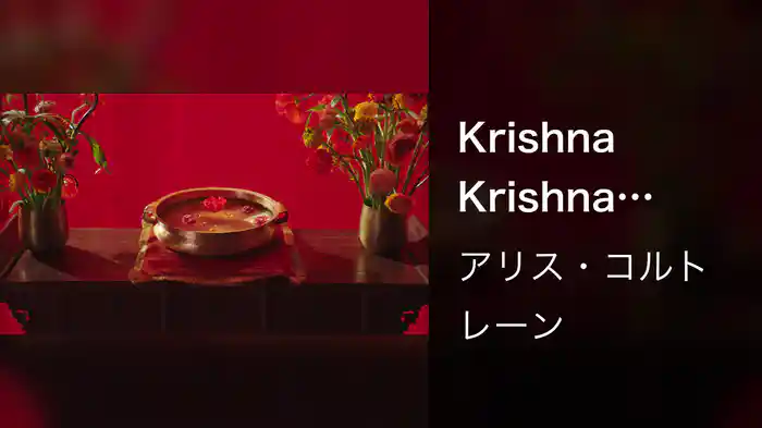 Krishna Krishna (Visualizer)