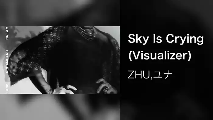 Sky Is Crying (Visualizer)
