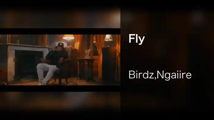 Fly