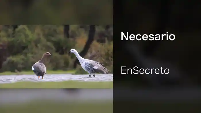 Necesario