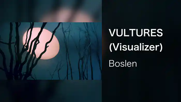 VULTURES (Visualizer)