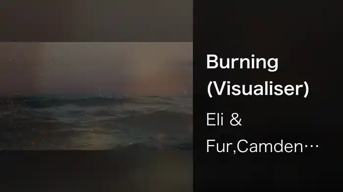Burning (Visualiser)