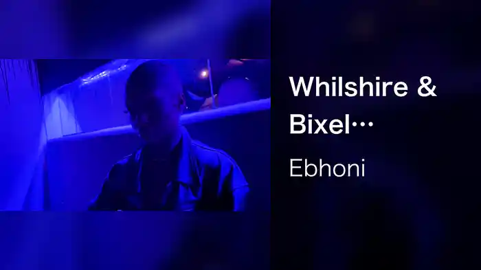 Whilshire & Bixel (Visualizer)