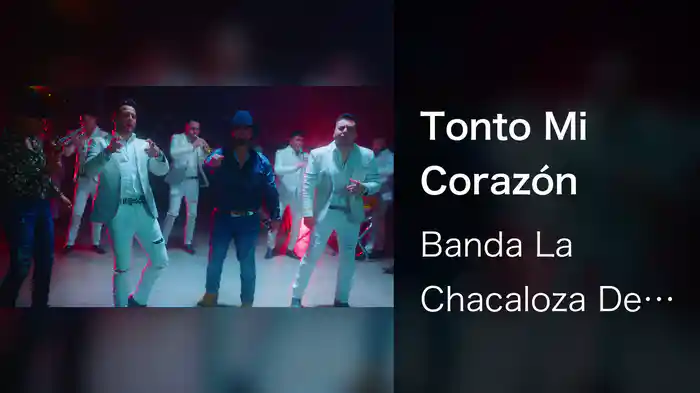 Tonto Mi Corazón
